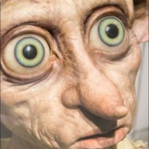 Meet your Posher, Rory